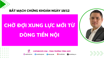 Bắt Mạch Chứng Khoán Ngày 19/12/2025: Chờ Đợi Xung Lực Mới Từ Dòng Tiền Nội