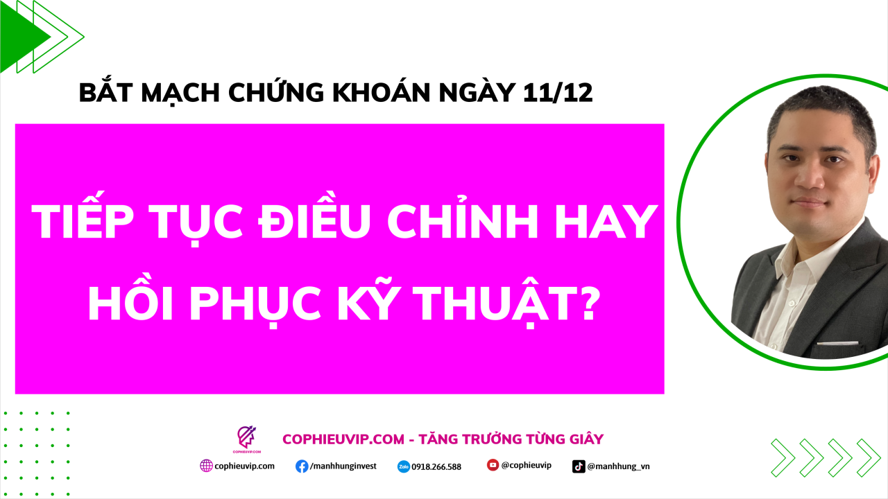 Bắt Mạch Chứng Khoán Ngày 11/12/2025: Tiếp Tục Điều Chỉnh Hay Hồi Phục Kỹ Thuật?