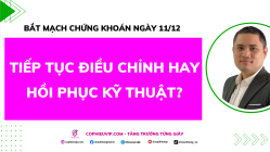 Bắt Mạch Chứng Khoán Ngày 11/12/2025: Tiếp Tục Điều Chỉnh Hay Hồi Phục Kỹ Thuật?