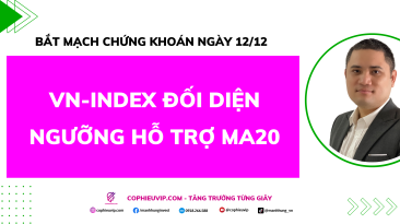 Bắt Mạch Chứng Khoán Ngày 12/12/2025: VN-Index Đối Diện Ngưỡng Hỗ Trợ MA20