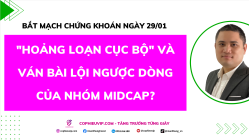 Bắt Mạch Chứng Khoán Ngày 29/01/2026: "Hoảng loạn cục bộ" và ván bài lội ngược dòng của nhóm Midcap