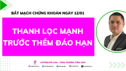 Bắt Mạch Chứng Khoán Ngày 12/01/2025: Thanh lọc mạnh trước thềm đáo hạn