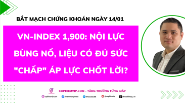 Bắt Mạch Chứng Khoán Ngày 14/01/2025: VN-Index 1,900: Nội lực bùng nổ, liệu có đủ sức "chấp" áp lực chốt lời?