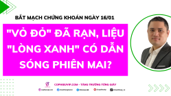 Bắt Mạch Chứng Khoán Ngày 16/01/2025: "Vỏ đỏ" đã rạn, liệu "Lòng xanh" có dẫn sóng phiên mai?