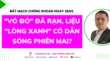 Bắt Mạch Chứng Khoán Ngày 16/01/2025: "Vỏ đỏ" đã rạn, liệu "Lòng xanh" có dẫn sóng phiên mai?
