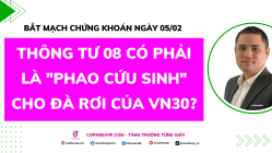 Bắt Mạch Chứng Khoán Ngày 05/02/2026: Thông tư 08 có phải là "phao cứu sinh" cho đà rơi của VN30?