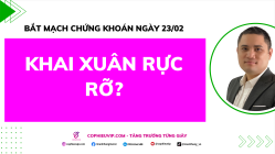 Bắt Mạch Chứng Khoán Ngày 23/02/2026: Khai Xuân Rực Rỡ?