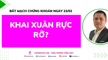 Bắt Mạch Chứng Khoán Ngày 23/02/2026: Khai Xuân Rực Rỡ?