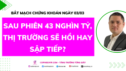 Bắt Mạch Chứng Khoán Ngày 03/03/2026: Sau phiên 43 nghìn tỷ, thị trường sẽ hồi hay sập tiếp?