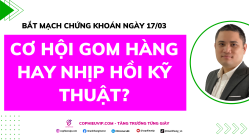 Bắt Mạch Chứng Khoán Ngày 17/03/2026: Cơ hội gom hàng hay nhịp hồi kỹ thuật?