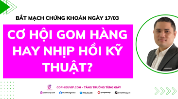 Bắt Mạch Chứng Khoán Ngày 17/03/2026: Cơ hội gom hàng hay nhịp hồi kỹ thuật?