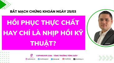 Bắt Mạch Chứng Khoán Ngày 25/03/2026: Hồi phục thực chất hay chỉ là nhịp hồi kỹ thuật?