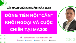 Bắt Mạch Chứng Khoán Ngày 31/03/2026: Dòng tiền nội "cân" khối ngoại và Cuộc chiến tại MA200