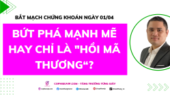 Bắt Mạch Chứng Khoán Ngày 01/04/2026: Bứt phá mạnh mẽ hay chỉ là "Hồi mã thương"?