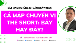 Bắt Mạch Chứng Khoán Ngày 01/06/2026: Cá mập chuyển vị thế Short: Bẫy hay đáy?