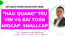 Bắt Mạch Chứng Khoán Ngày 06/05/2026: "Hào quang" trụ Vin và bài toán Midcap, Smallcap