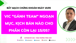 Bắt Mạch Chứng Khoán Ngày 15/05/2026: VIC "gánh team" ngoạn mục, Kịch bản nào cho phần còn lại 15/05?