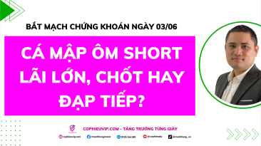 Bắt Mạch Chứng Khoán Ngày 03/06/2026: Cá mập ôm Short lãi lớn, Chốt hay đạp tiếp?