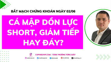 Bắt Mạch Chứng Khoán Ngày 02/06/2026: Cá mập dồn lực Short, Giảm tiếp hay Đáy?