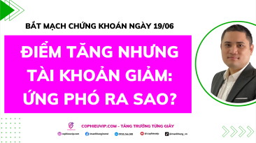 Bắt Mạch Chứng Khoán Ngày 19/06/2026: Điểm tăng nhưng tài khoản giảm, Ứng phó ra sao?