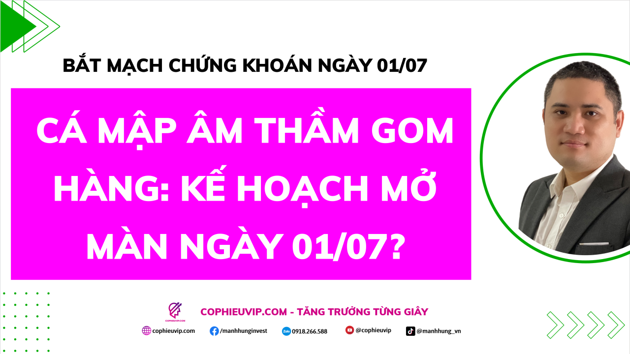 Bắt Mạch Chứng Khoán Ngày 01/07/2026: Cá mập âm thầm gom hàng: Kế hoạch mở màn ngày 01/07/2026?