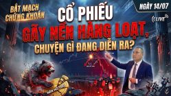 Bắt Mạch Chứng Khoán Ngày 14/07/2026: Cổ Phiếu Gãy Nền Hàng Loạt, Chuyện Gì Đang Diễn Ra?