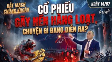 Bắt Mạch Chứng Khoán Ngày 14/07/2026: Cổ Phiếu Gãy Nền Hàng Loạt, Chuyện Gì Đang Diễn Ra?