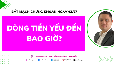 Bắt Mạch Chứng Khoán Ngày 03/07/2026: Dòng tiền yếu đến bao giờ?