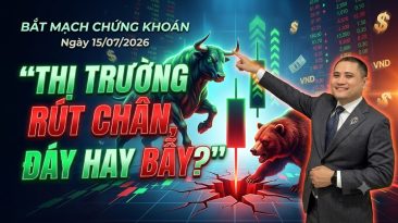Bắt Mạch Chứng Khoán Ngày 15/07/2026: Thị Trường Rút Chân, Đáy Hay Bẫy?